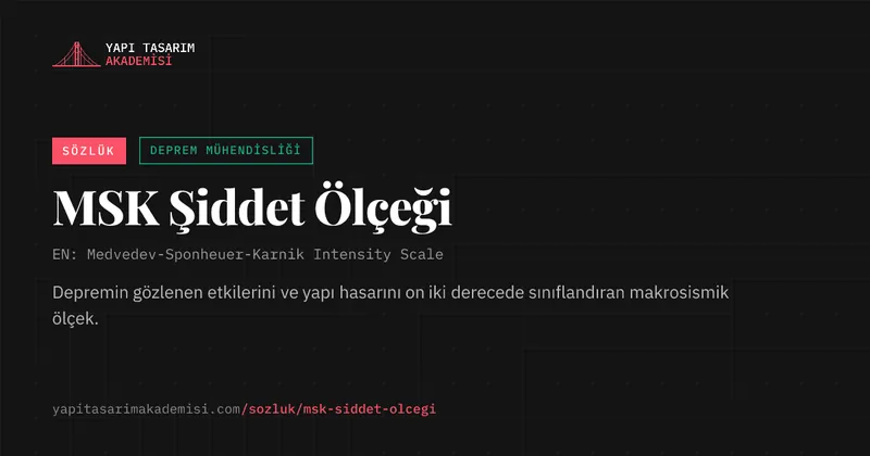 MSK Şiddet Ölçeği